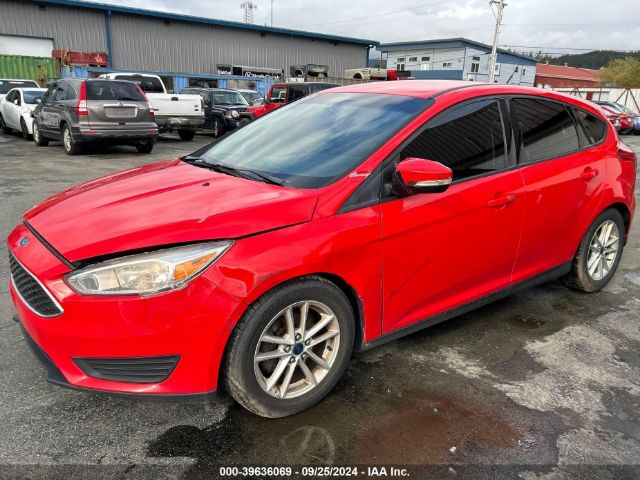 1FADP3K25GL256114 Ford FOCUS SE