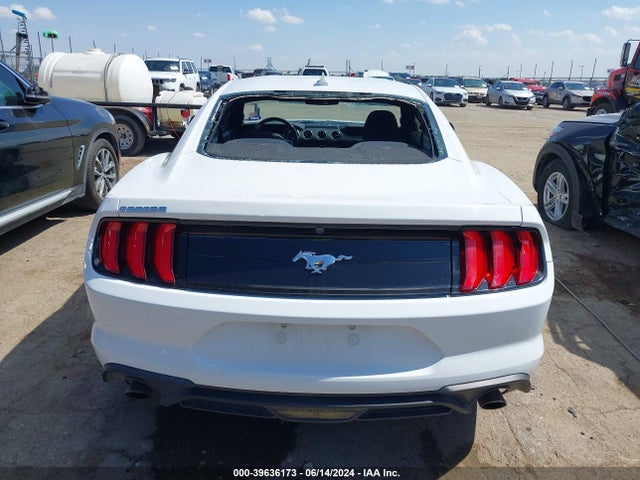 Ford Mustang Ecoboost Fastback 2020 1FA6P8TH3L5154639 Image 16