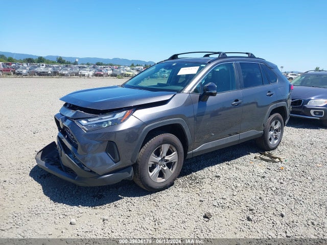 Toyota Rav4 Xle 2023 2T3P1RFV3PC334145 Image 2