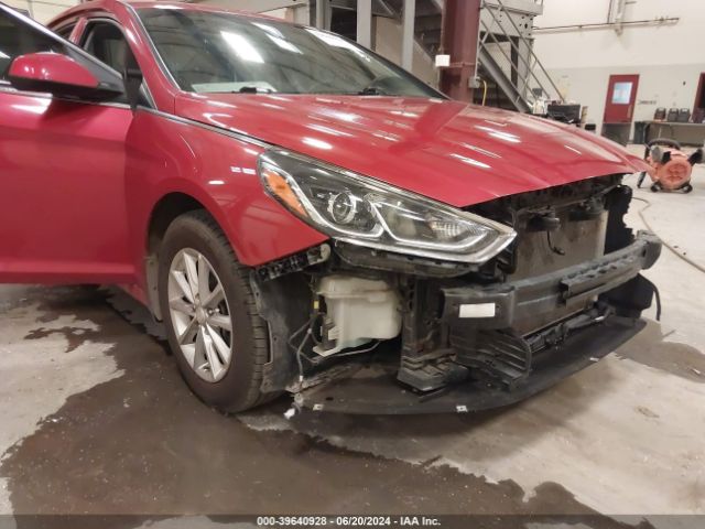 5NPE24AF9KH731154 Hyundai SONATA SE