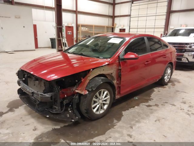 5NPE24AF9KH731154 Hyundai SONATA SE
