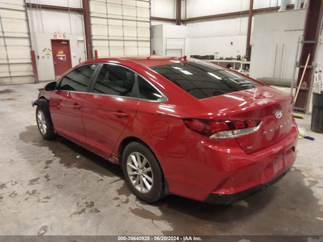 5NPE24AF9KH731154 Hyundai SONATA SE