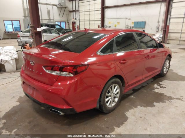 5NPE24AF9KH731154 Hyundai SONATA SE