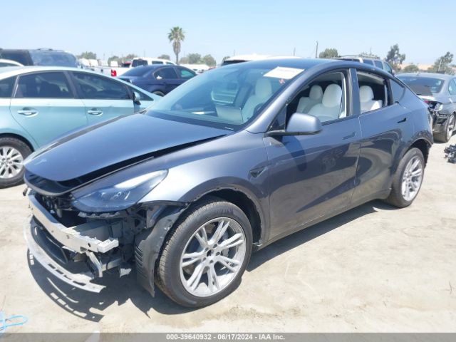 7SAYGDED3PF933925 Tesla Model Y Rwd