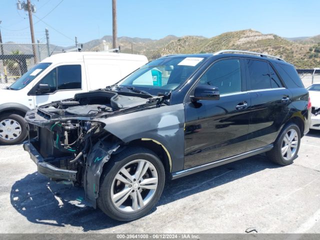 4JGDA5JB3FA600005 Mercedes-Benz ML 350