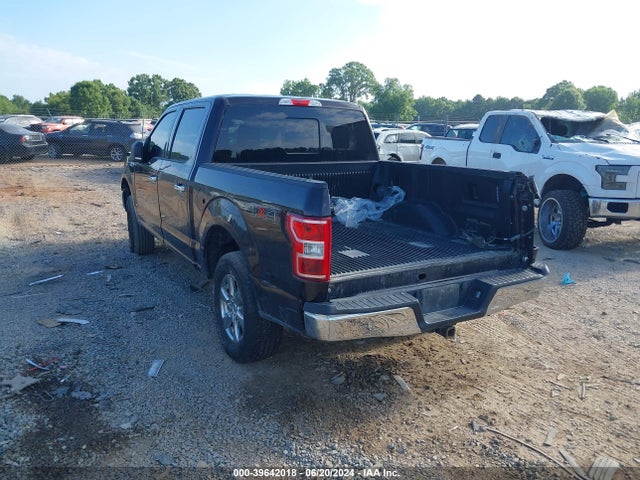 Ford F-150 Xlt 2019 1FTEW1EP9KFB61348 Image 3
