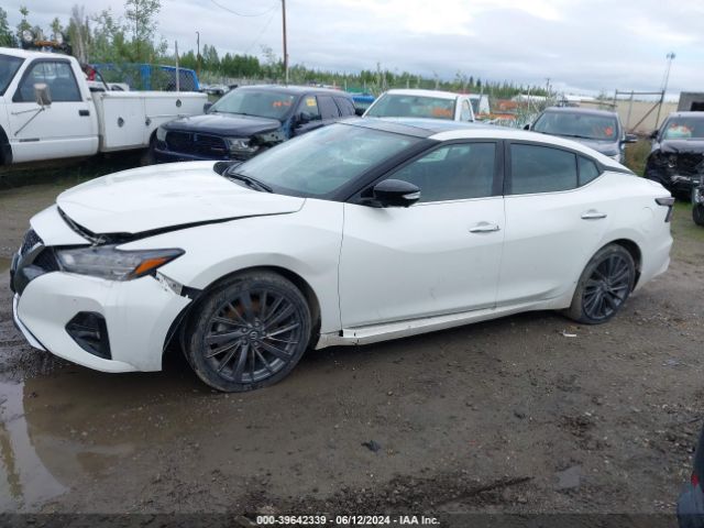 1N4AA6AV7KC365233 Nissan Maxima 3.5 Platinum