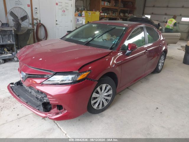 4T1B31HK0KU515759 Toyota Camry Hybrid Le