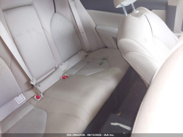 4T1B31HK0KU515759 Toyota Camry Hybrid Le