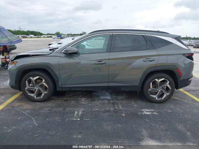 Hyundai Tucson Limited 2024 5NMJE3DE3RH317863 Image 14