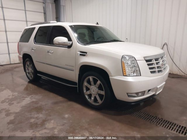 2011 CADILLAC ESCALADE 1GYS4BEFXBR315161