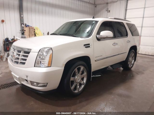 2011 CADILLAC ESCALADE 1GYS4BEFXBR315161 Photo 1