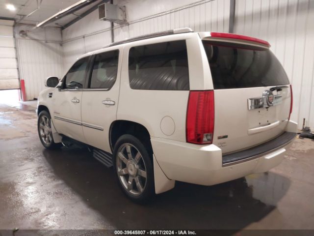 2011 CADILLAC ESCALADE 1GYS4BEFXBR315161 Photo 2
