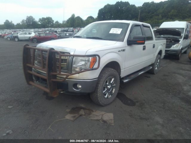 2014 FORD F-150 1FTFW1EF9EKF80291 Photo 1