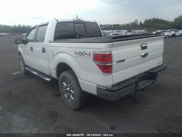 2014 FORD F-150 1FTFW1EF9EKF80291 Photo 2