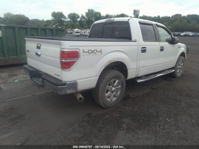 2014 FORD F-150 1FTFW1EF9EKF80291 Photo 3