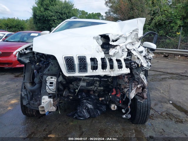 Jeep Cherokee Limited 4x4 2019 1C4PJMDNXKD117329 Image 11