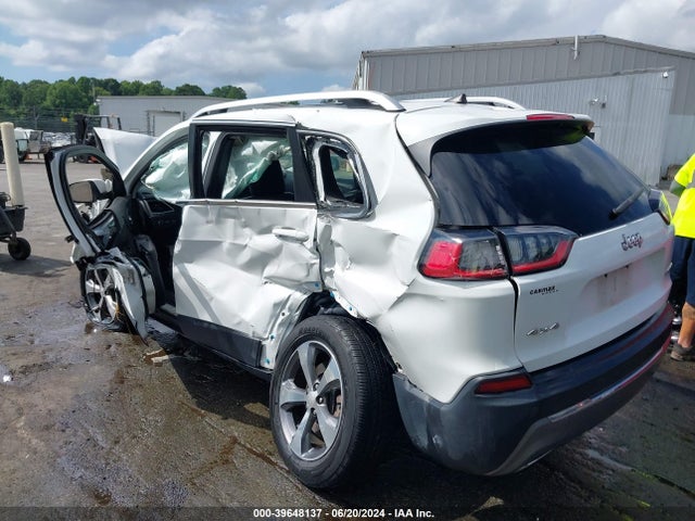 Jeep Cherokee Limited 4x4 2019 1C4PJMDNXKD117329 Image 3
