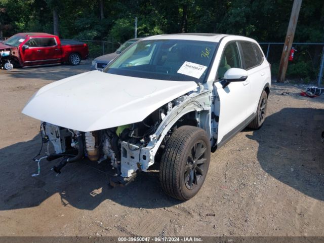 2HKRS4H7XRH481336 Honda Cr-v Ex-l Awd