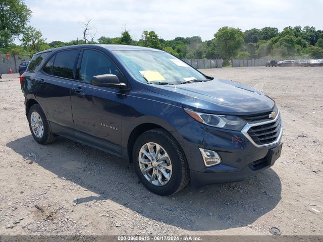 Chevrolet EQUINOX LS 2019 3GNAXHEV9KL256945 Image 1