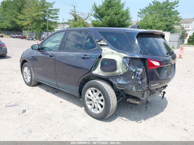 Chevrolet EQUINOX LS 2019 3GNAXHEV9KL256945 Image 3