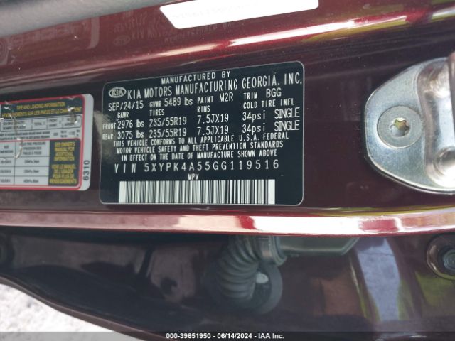 5XYPK4A55GG119516 KIA Sorento 3.3l Sx