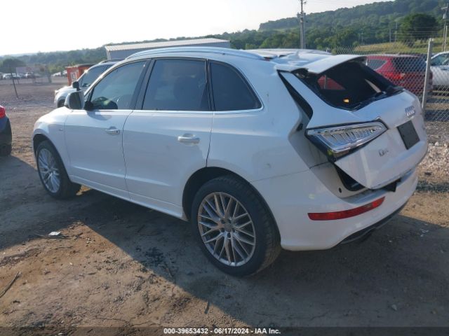 WA1M2AFPXHA060020 Audi Q5 2.0t Premium