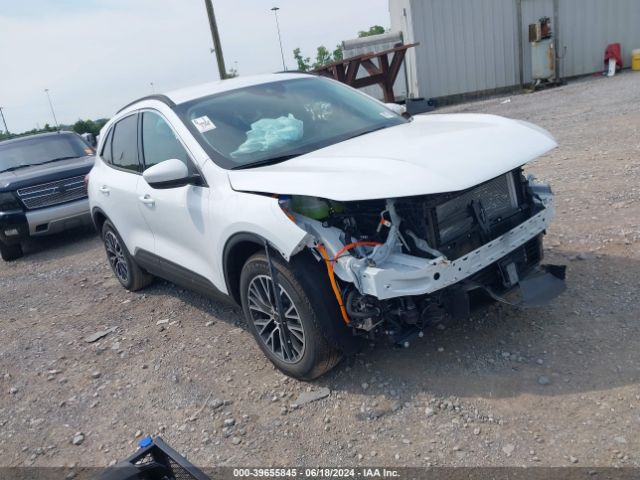 2023 FORD ESCAPE 1FMCU0E14PUA68836