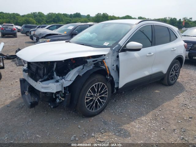 2023 FORD ESCAPE 1FMCU0E14PUA68836 Photo 1