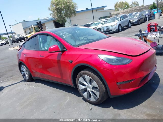 7SAYGDED3PF977553 Tesla Model Y Rwd