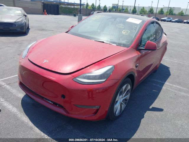 7SAYGDED3PF977553 Tesla Model Y Rwd