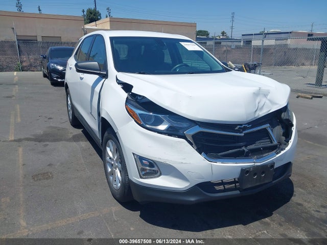 Chevrolet EQUINOX LS 2019 2GNAXHEV1K6170789 main image