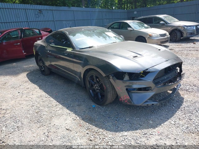 Ford Mustang Ecoboost Fastback 2020 1FA6P8TH2L5174347 Image 1