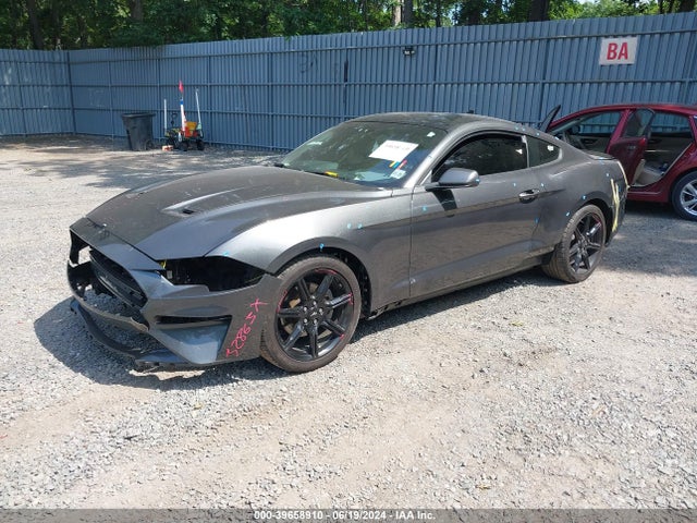 Ford Mustang Ecoboost Fastback 2020 1FA6P8TH2L5174347 Image 2