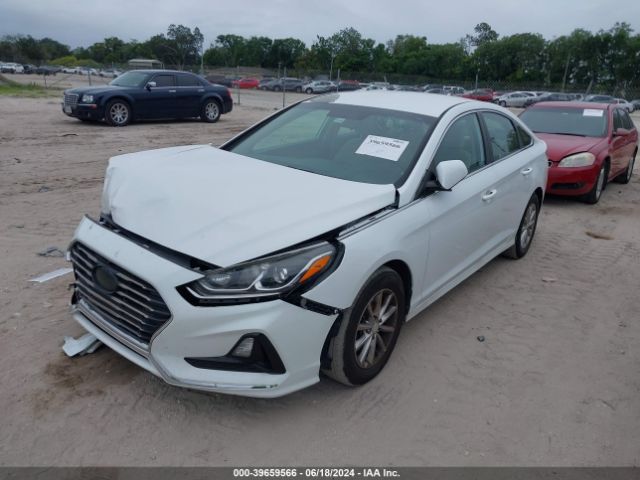 5NPE24AF2KH736194 Hyundai SONATA SE