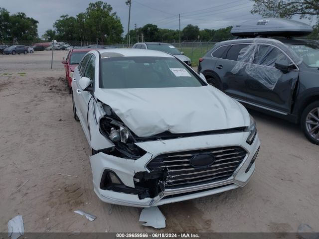 5NPE24AF2KH736194 Hyundai SONATA SE