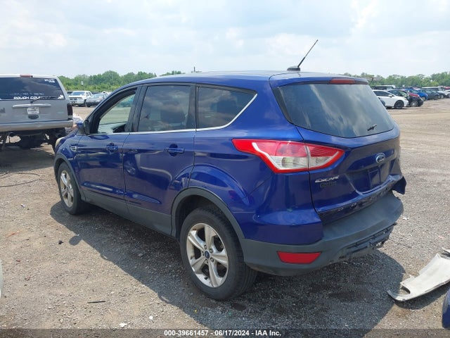 Ford ESCAPE SE 2014 1FMCU0GX4EUE08369 Image 3