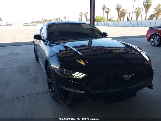 2023 1FA6P8TH7P5113131 main image