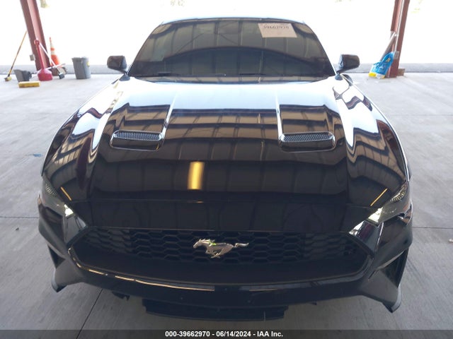 Ford Mustang Ecoboost Fastback 2023 1FA6P8TH7P5113131 Image 12
