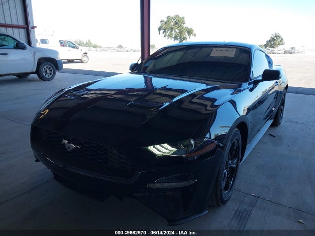 Ford Mustang Ecoboost Fastback 2023 1FA6P8TH7P5113131 Image 2
