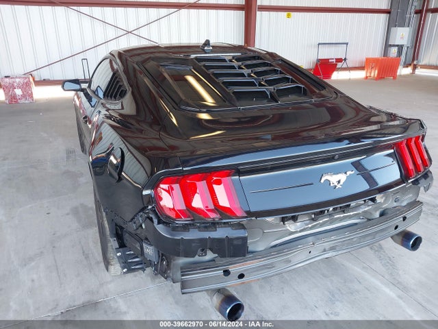 Ford Mustang Ecoboost Fastback 2023 1FA6P8TH7P5113131 Image 3