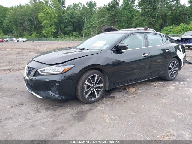 Nissan Maxima Sv Xtronic Cvt 2023 1N4AA6CV3PC510983 Image 2