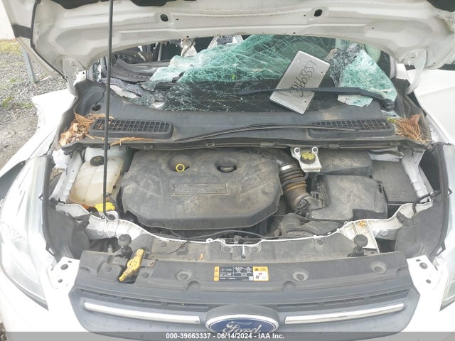 Ford ESCAPE SE 2016 1FMCU9G92GUB51432 Image 10