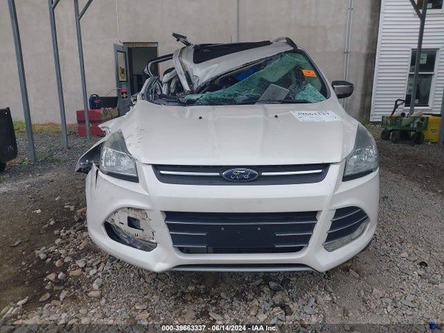 Ford ESCAPE SE 2016 1FMCU9G92GUB51432 Image 12