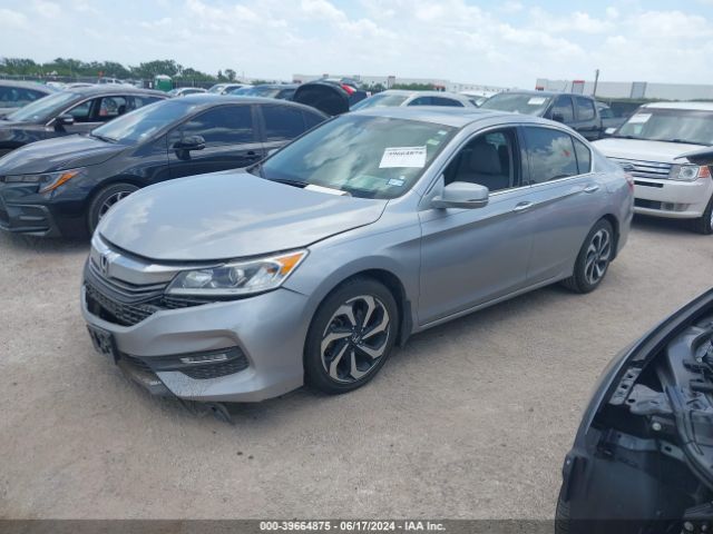 1HGCR3F81HA026101 Honda Accord Ex-l V6