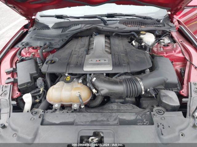 1FA6P8CF8J5117131 Ford Mustang Gt Premium