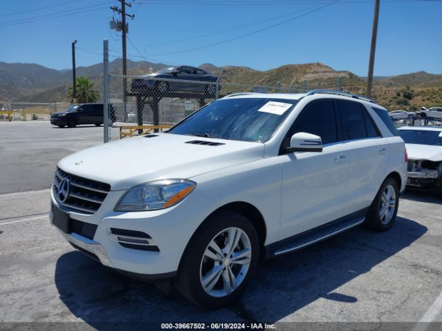 4JGDA5JBXFA606769 Mercedes-Benz ML 350