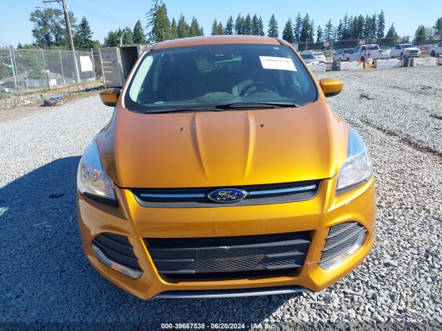 Ford ESCAPE SE 2016 1FMCU0G72GUC00431 Image 12