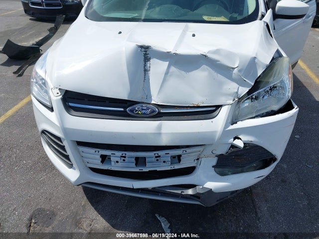 Ford ESCAPE SE 2014 1FMCU9GX9EUA57074 Image 6