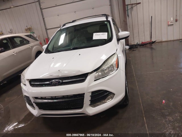 Ford ESCAPE SE 2014 1FMCU9G9XEUD19153 Image 12